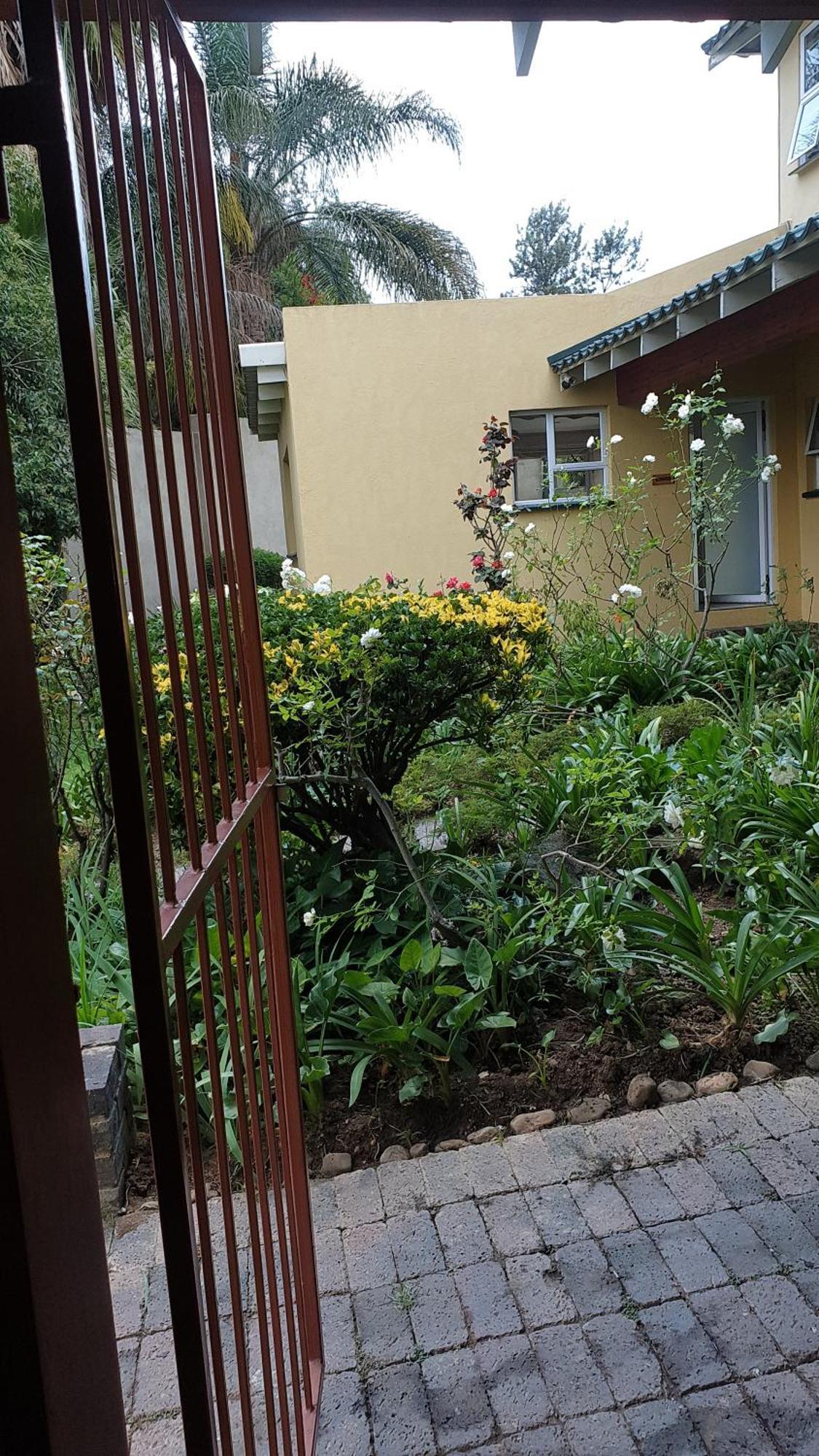 Matina Guest House 约翰内斯堡 客房 照片